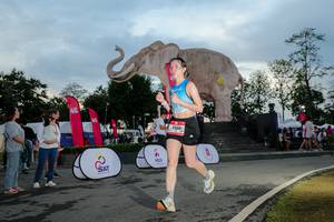 BIB: 
                            <button type="button" onclick="openModal(26529416)" class="btn btn-primary btn-sm float-right btn-popup" data-toggle="modal" data-target=".modal-high-quality">
                        <i class="fas fa-shopping-cart"></i> Add to Cart
                    </button>
                                            <button type="button" onclick="isThisMe(26529416, true)" class="btn btn-success btn-sm float-right btn-popup btn-isme hidden" data-toggle="tooltip" data-placement="bottom" title="นี่คือรูปของคุณใช่ไหม คลิกที่นี่เพื่อเอาเข้าอัลบั้ม">
                        <i class="fas fa-plus"></i> Add to album
                    </button>
                    <button type="button" onclick="isThisMe(26529416, false)" class="btn btn-warning btn-sm float-right btn-popup btn-isnotme hidden">
                        <i class="fas fa-ban"></i> Remove from album
                    </button>